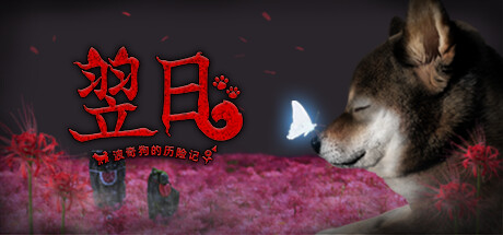 翌日波奇狗的历险记