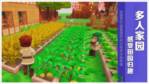 龙与家园时光15