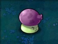 植物大战僵尸重制版截图5