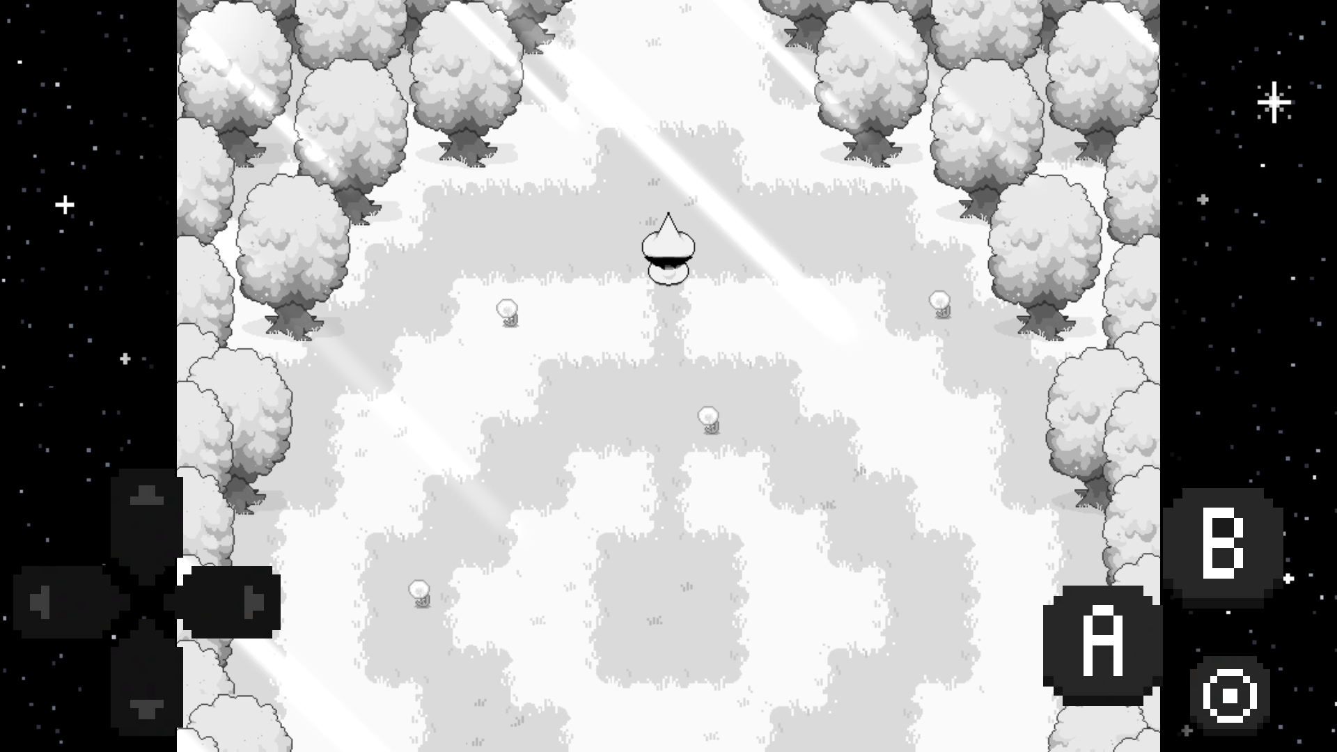 在时光与繁星中