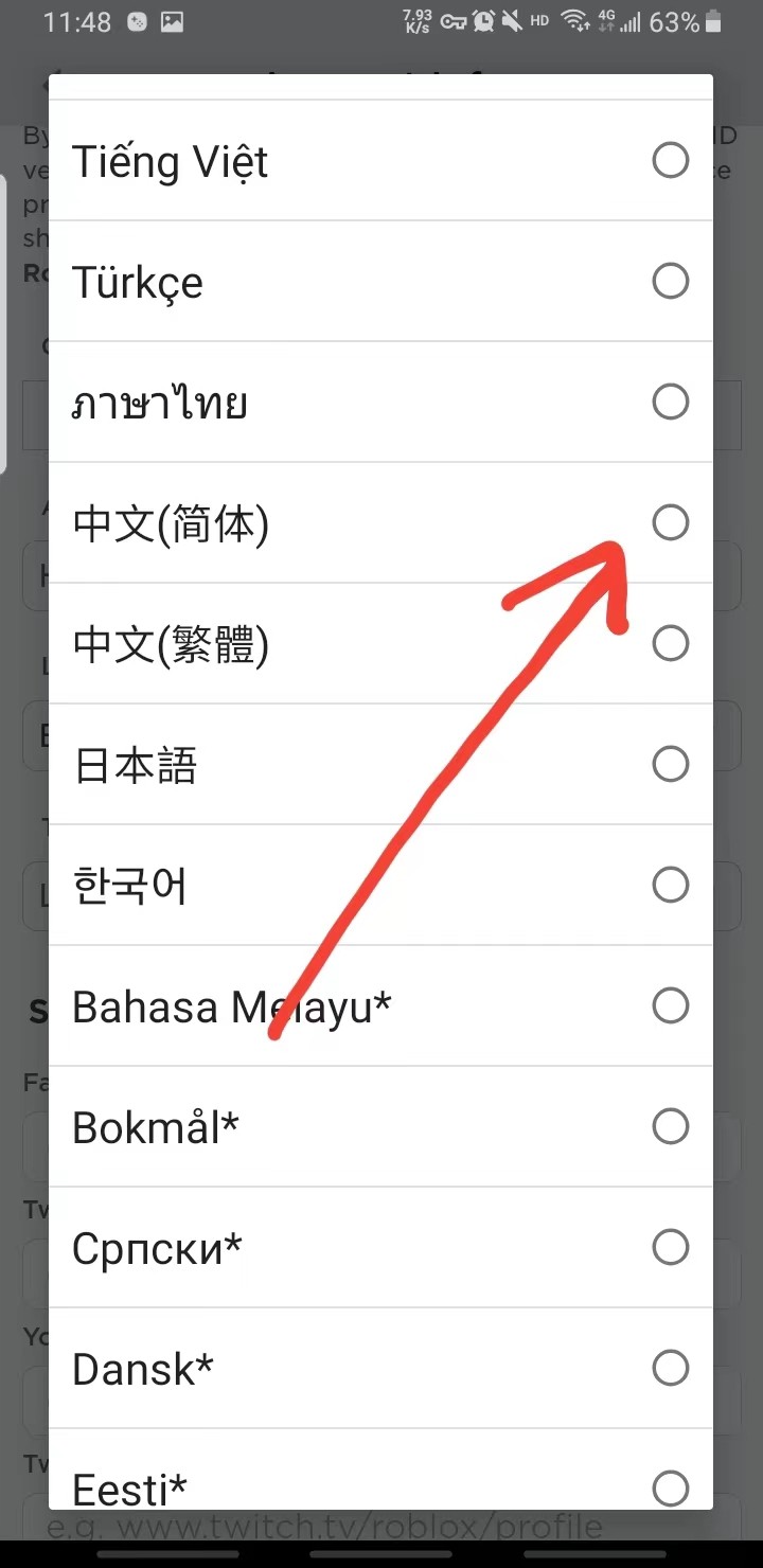 罗布乐思国际服