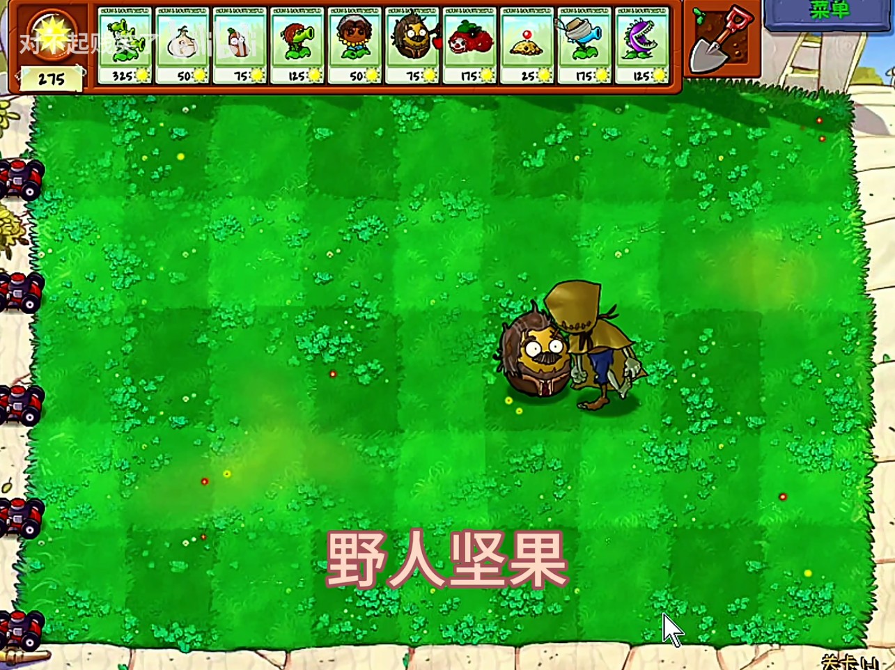 植物大战僵尸第五人格版