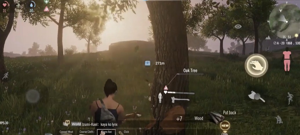 危机曙光国际服