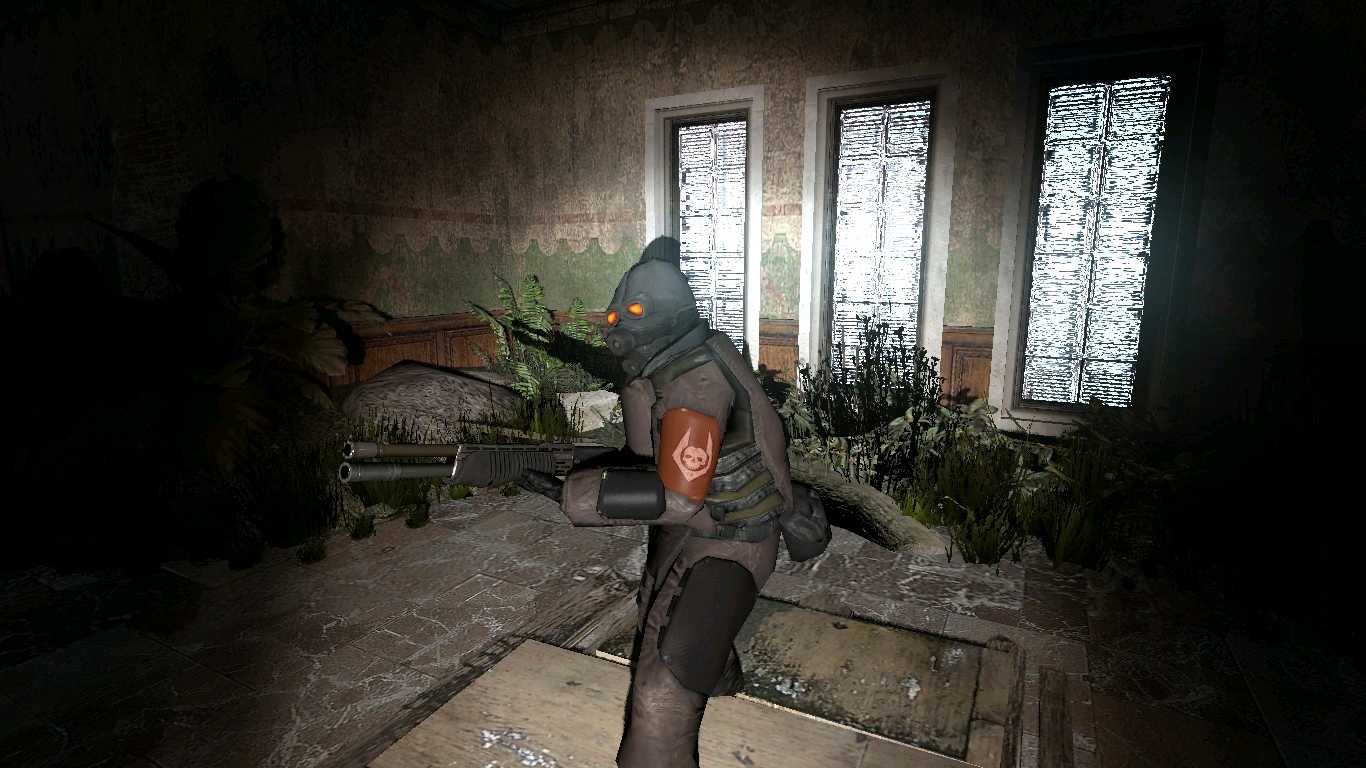 半条命2中文steam移植版