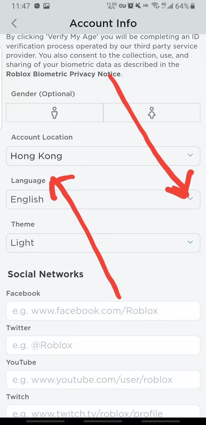 罗布乐思国际服