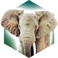 方舟动物园手机版