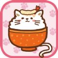 猫咪盖饭