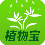 植物宝