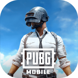 PUBG MOBILE(国际服)