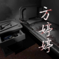 孙美琪疑案方婷婷