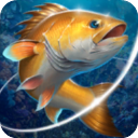 钓鱼胡克破解版